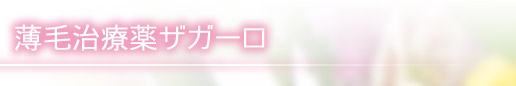 ÇöÌÓ¼£ÎÅÌô¥¶¥¬¡¼¥í